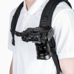 QR-PD1